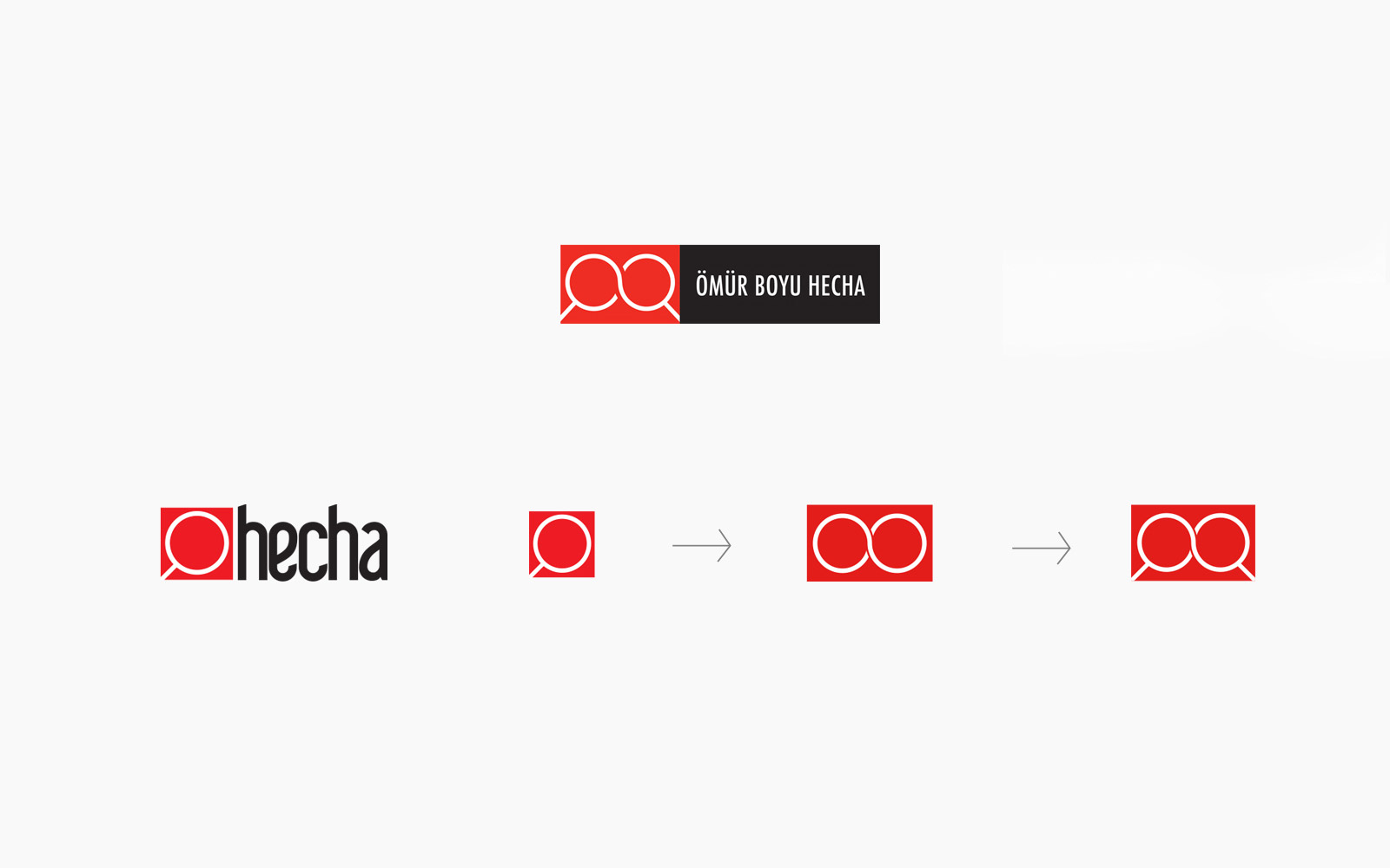 Hecha