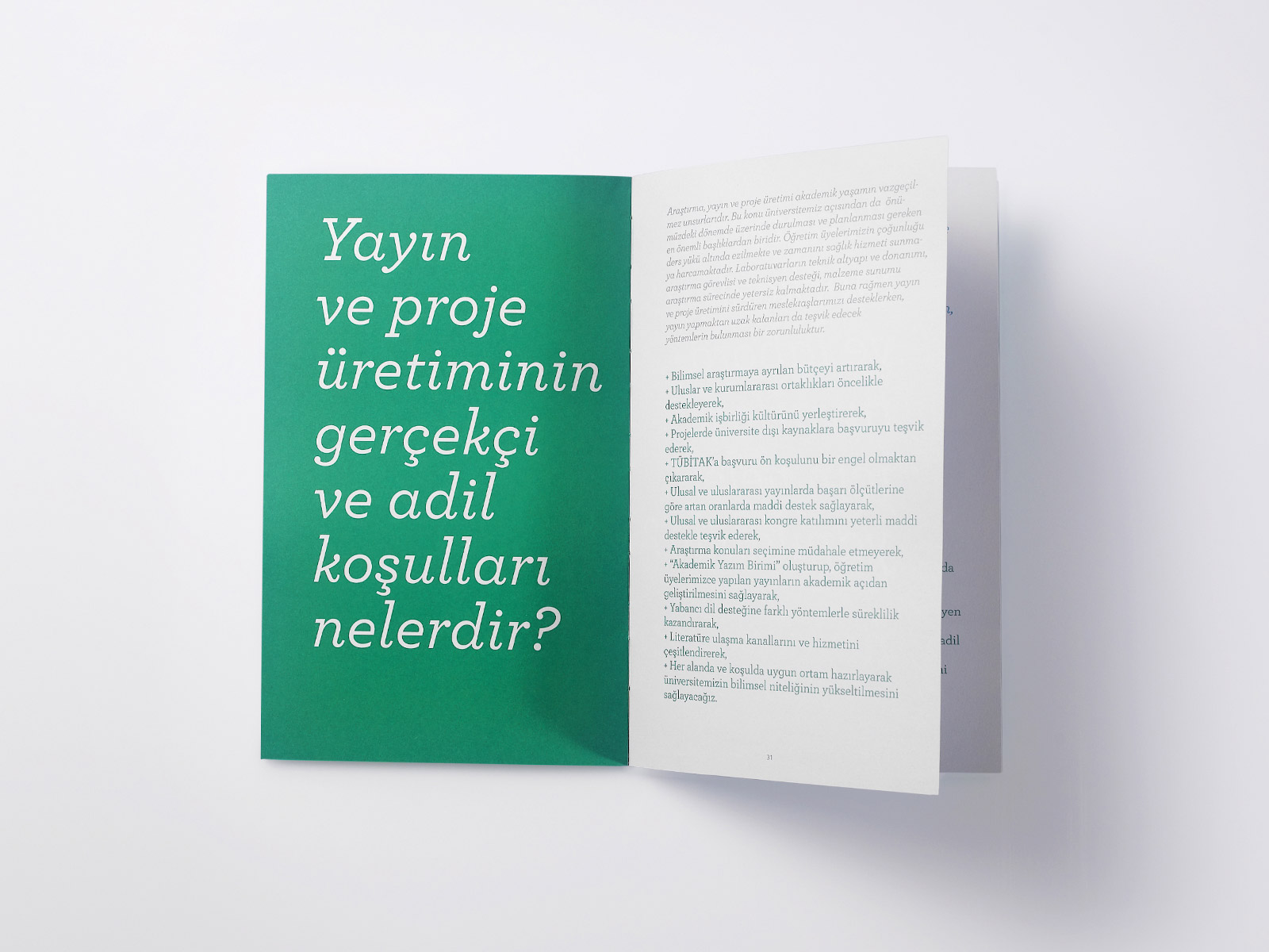 Kocaeli �niversitesi