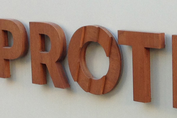 Protel <p>Logo revision and identity guidelines</p>
